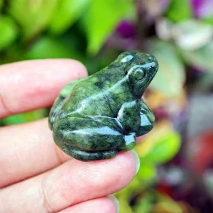 Your Perfect Jade Frog