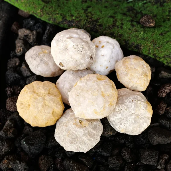Unveil Earth's Secret: Natural Unopened Agate Geode for Mystery & Magic - Image 3